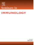 Disorganization of secondary lymphoid organs and dyscoordination of chemokine secretion as key contributors to immune aging