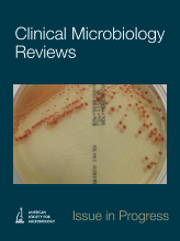 Bordetella bronchiseptica and Bordetella pertussis: Similarities and Differences in Infection, Immuno-Modulation, and Vaccine Considerations