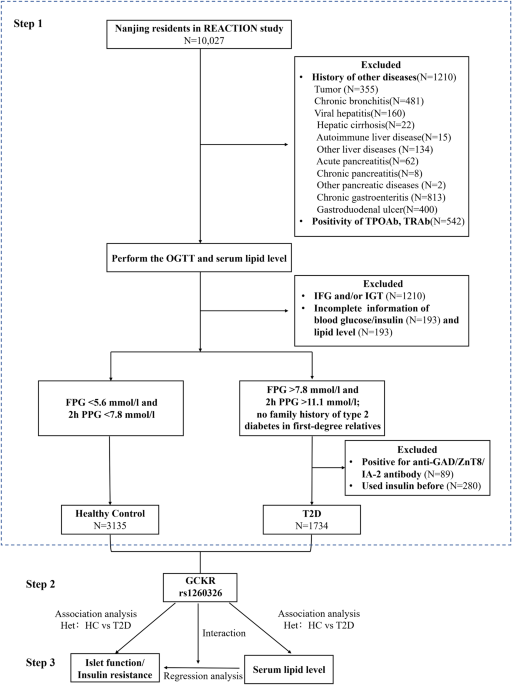 Interaction between the GCKR rs1260326 variant and serum HDL cholesterol contributes to HOMA-β and ISIMatusda in the middle-aged T2D individuals