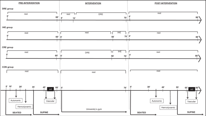 Post-dynamic, isometric and combined resistance exercise responses in medicated hypertensive men