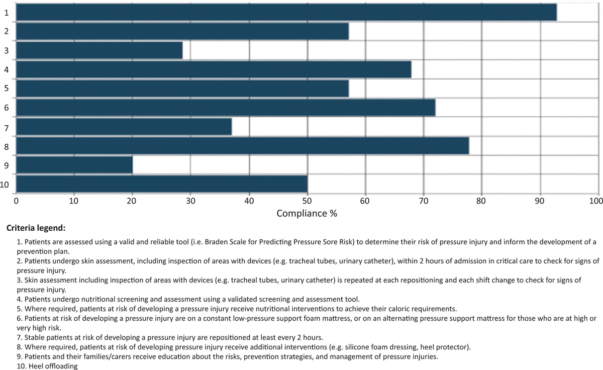 Pressure injury prevention in adult critically ill patients: best practice implementation project