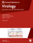 Hepatitis-B virus: replication cycle, targets, and antiviral approaches