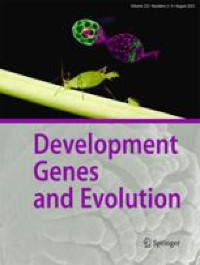Central projections from Johnston’s organ in the locust: Axogenesis and brain neuroarchitecture