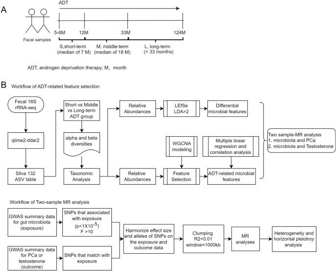 Changes in the gut microbial profile during long-term androgen deprivation therapy for prostate cancer