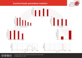 One-step isolation and purification of peroxidase from zucchini heads