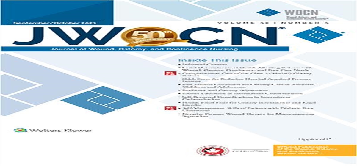 Enhancing Self-Management Skills of Patients With Existing Diabetic Foot Ulcerations: A Quality Improvement Project