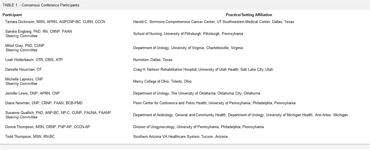 Patient Education in Intermittent Catheterization: A Consensus Conference