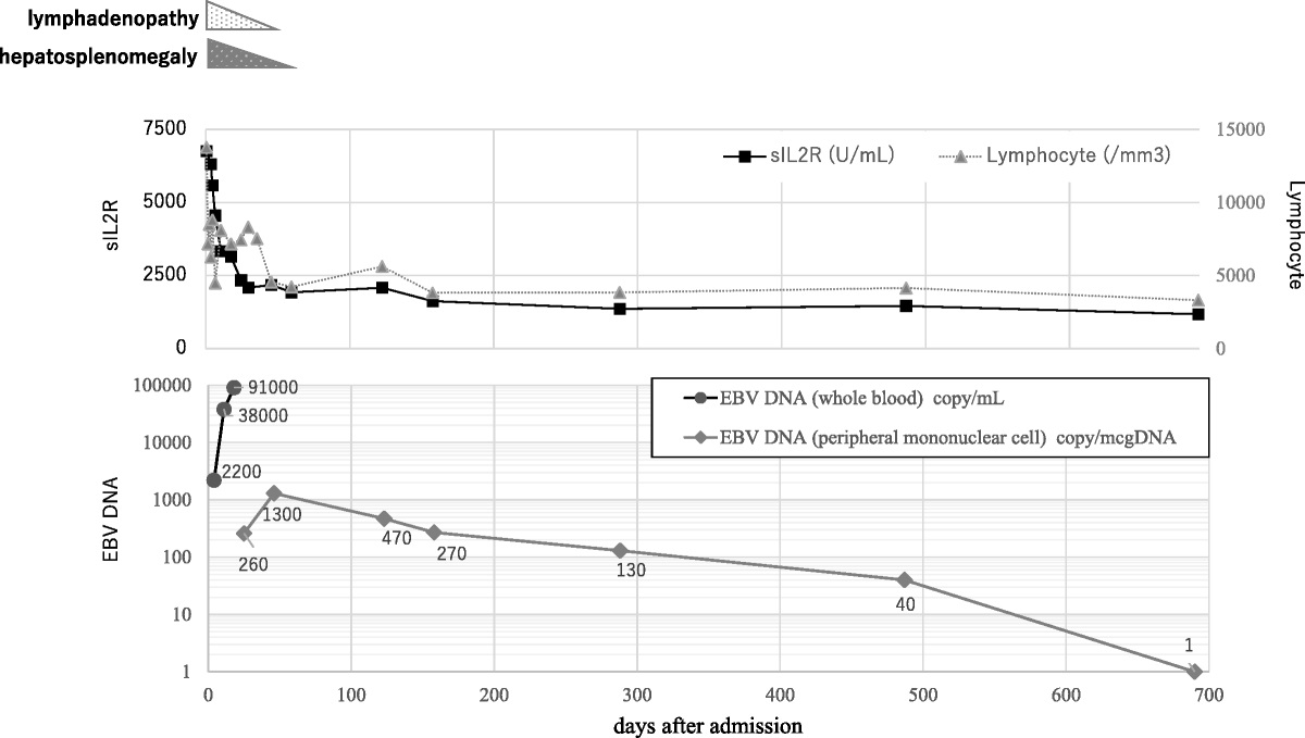 Prolonged Epstein-Barr Virus DNA Detection in a Case of Infantile Infectious Mononucleosis