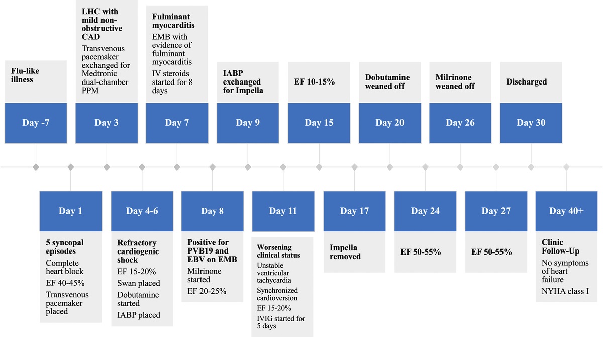 Fulminant Myocarditis Associated With Parvovirus B19 and Epstein-Barr Virus Coinfection