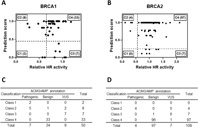 Functional evaluation of BRCA1/2 variants of unknown significance with homologous recombination assay and integrative in silico prediction model