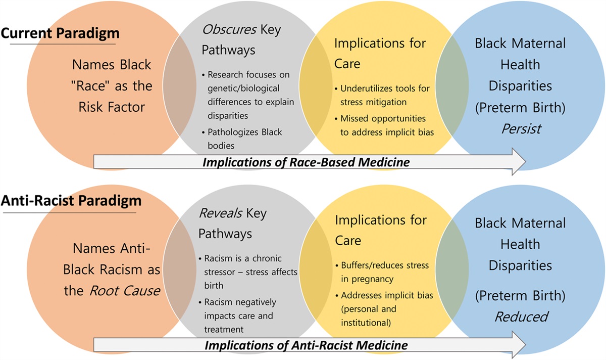 Why Causation Matters: Rethinking “Race” as a Risk Factor