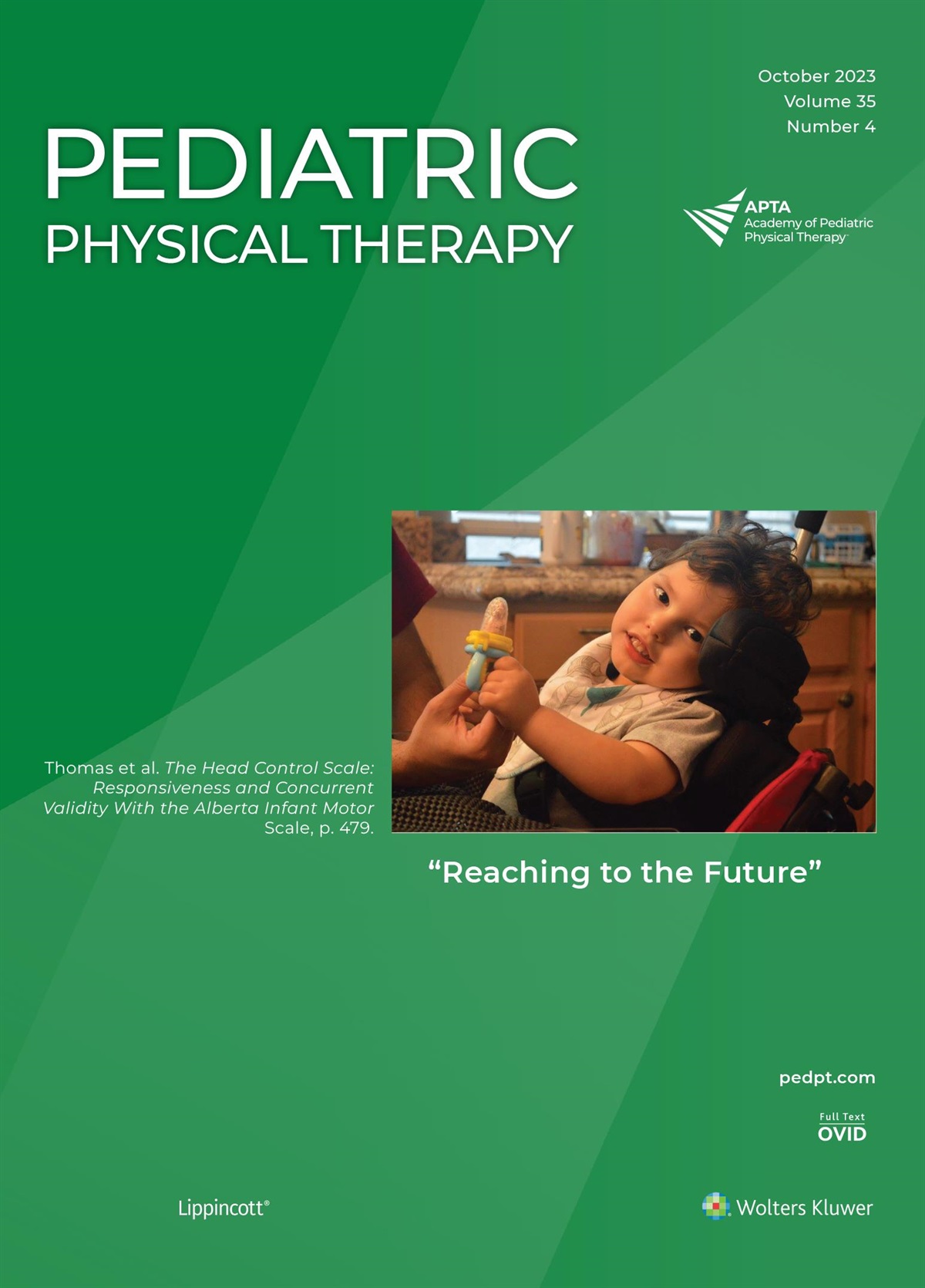 Commentary on “Effect of Adaptive Seating Systems on Postural Control and Activity Performance: A Systematic Review”