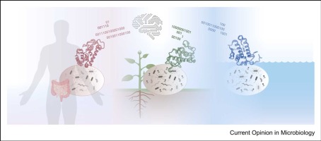 Structure-guided metagenome mining to tap microbial functional diversity