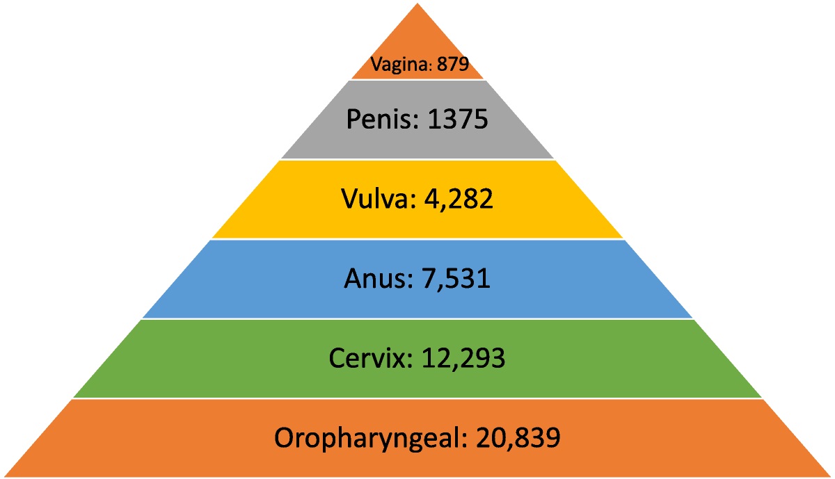 Understanding Sexual and Gender Minority Populations and Organ-Based Screening Recommendations for Human Papillomavirus–Related Cancers