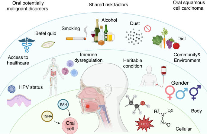 Oral squamous cell carcinomas: state of the field and emerging directions
