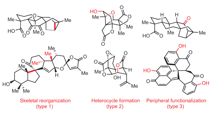 Strategic application of C–H oxidation in natural product total synthesis