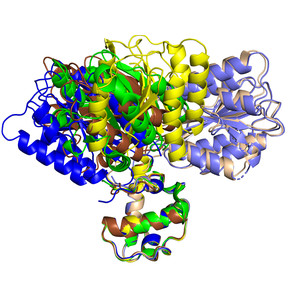 Increasing the bulk of the 1TEL–target linker and retaining the 10×His tag in a 1TEL–CMG2-vWa construct improves crystal order and diffraction limits