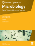 The power of the small: the underestimated role of small proteins in bacterial and archaeal physiology