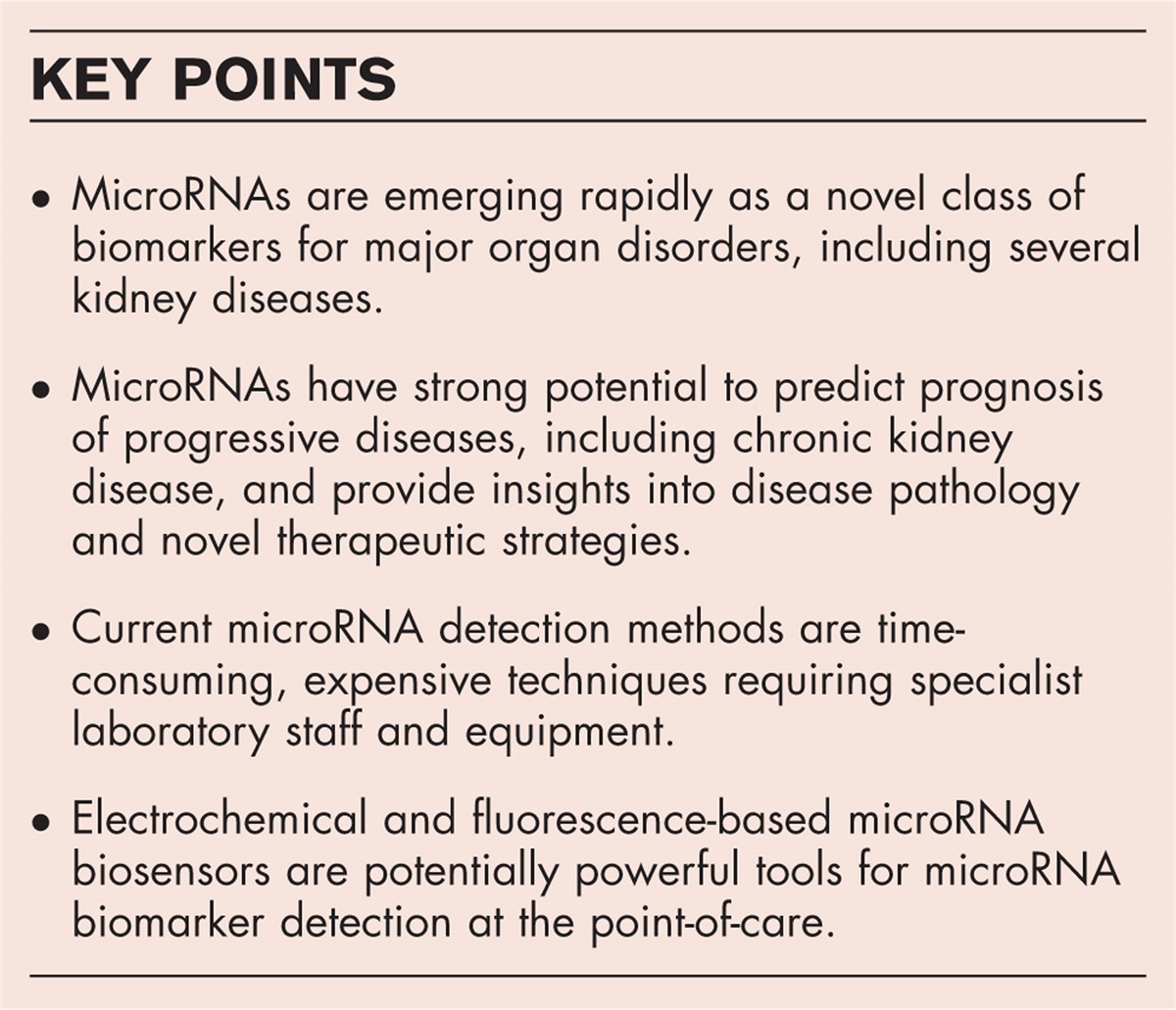 Identification and detection of microRNA kidney disease biomarkers in liquid biopsies