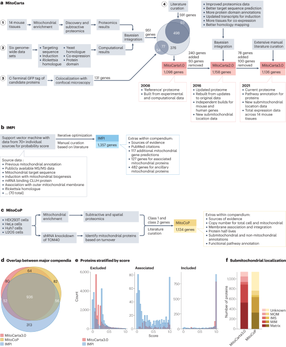 Mitochondrial proteome research: the road ahead