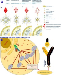 Expanded polyQ aggregates interact with sarco-endoplasmic reticulum calcium ATPase and Drosophila inhibitor of apoptosis protein1 to regulate polyQ mediated neurodegeneration in Drosophila