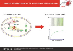Screening microbially produced pentyl diacetic acid lactone using an Escherichia coli biosensor workflow