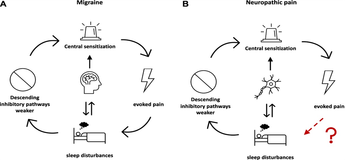 The association of self-reported symptoms of central sensitization and sleep disturbances in neuropathic pain