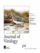 Tryptophan-based motifs in the LLP3 region of the HIV-1 envelope glycoprotein cytoplasmic tail direct trafficking to the endosomal recycling compartment and mediate particle incorporation
