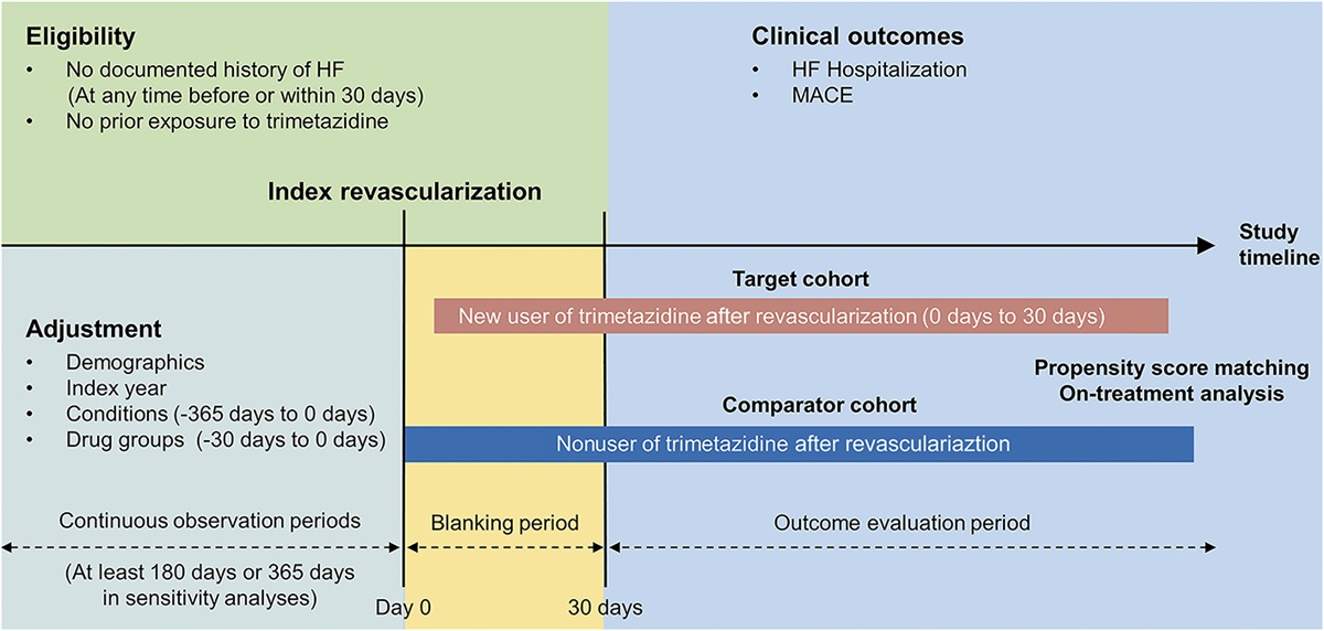 Impact of Trimetazidine on the Incident Heart Failure After Coronary Artery Revascularization
