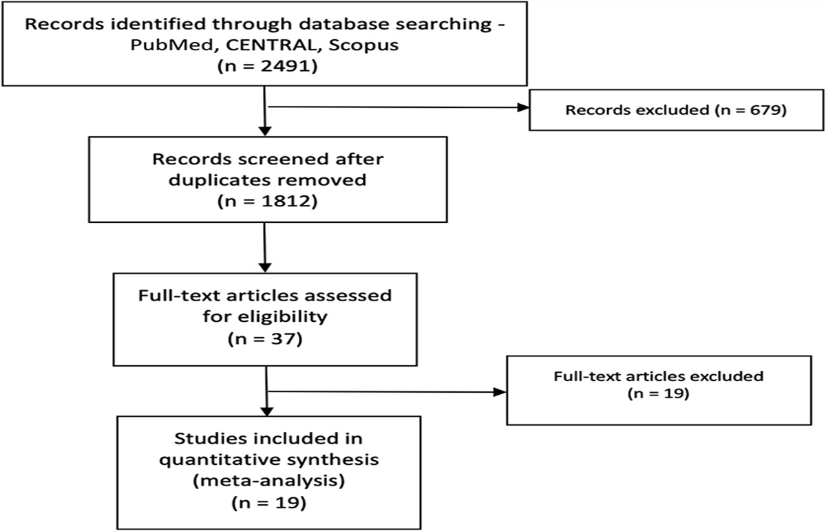 Effectiveness and Safety of P2Y12 Inhibitor Pretreatment for Primary PCI in STEMI: Systematic Review and Meta-analysis