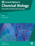 Immunomodulatory roles of PARPs: Shaping the tumor microenvironment, one ADP-ribose at a time