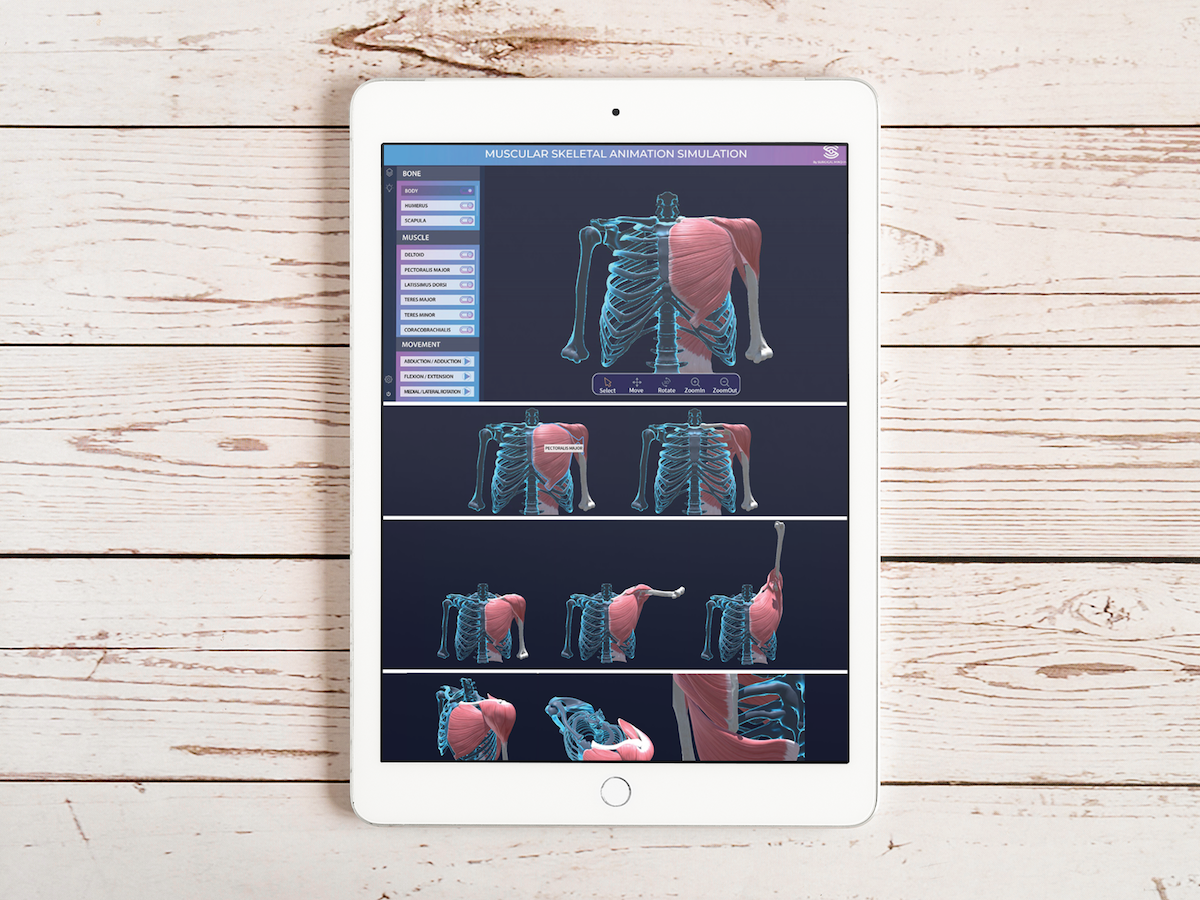 Three-Dimensional Virtual Reconstructions of Shoulder Movements Using Computed Tomography Images: Model Development