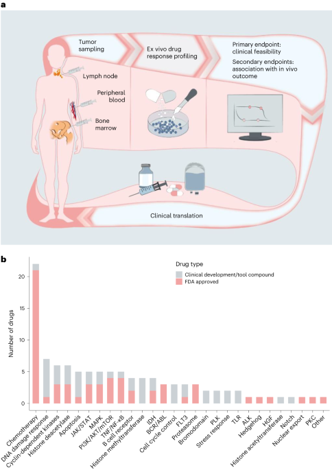 Ex vivo drug response profiling for response and outcome prediction in hematologic malignancies: the prospective non-interventional SMARTrial