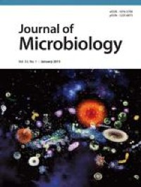 Effects of Phosphorus-dissolving Dark Septate Endophytes on the Growth of Blueberry