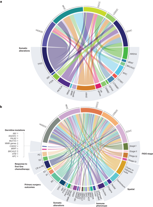 Heterogeneity and treatment landscape of ovarian carcinoma