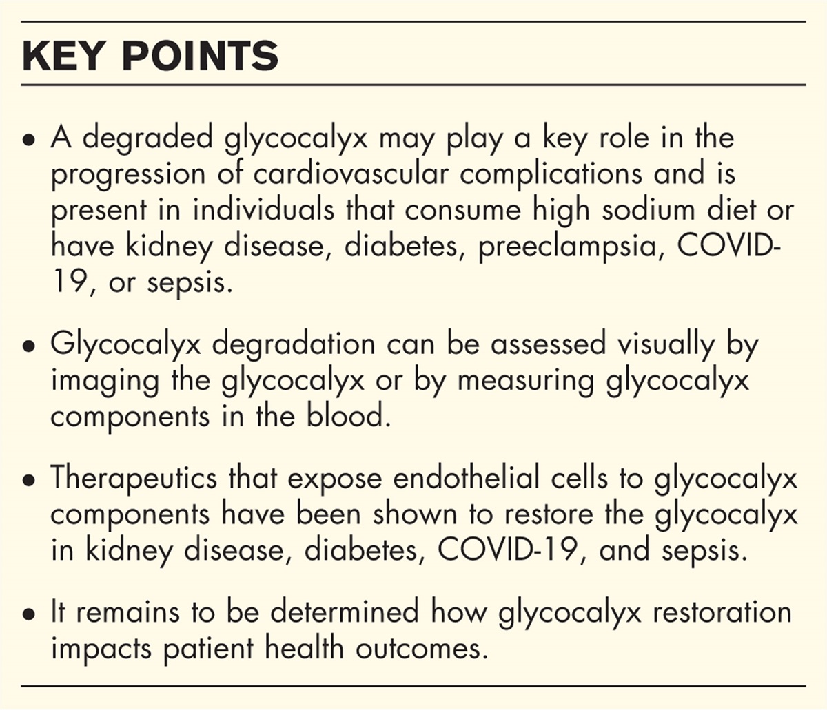 Therapeutic strategies targeting the endothelial glycocalyx