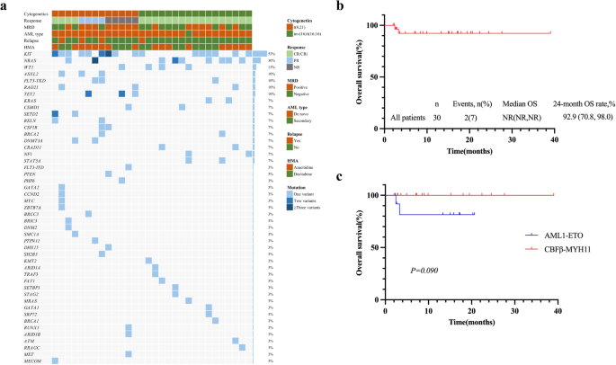 Efficacy of venetoclax combined with hypomethylating agents in young, and unfit patients with newly diagnosed core binding factor acute myeloid leukemia