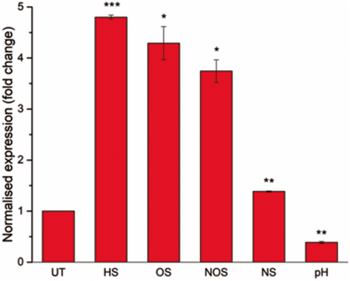 Rv1255c, a dormancy-related transcriptional regulator of TetR family in Mycobacterium tuberculosis, enhances isoniazid tolerance in Mycobacterium smegmatis