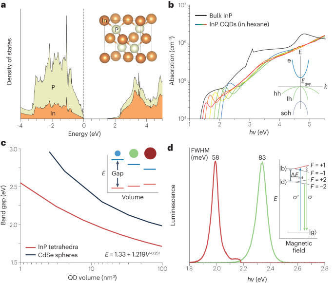 InP colloidal quantum dots for visible and near-infrared photonics