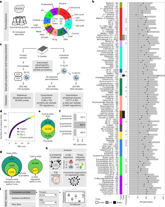 The regulatory landscape of the yeast phosphoproteome
