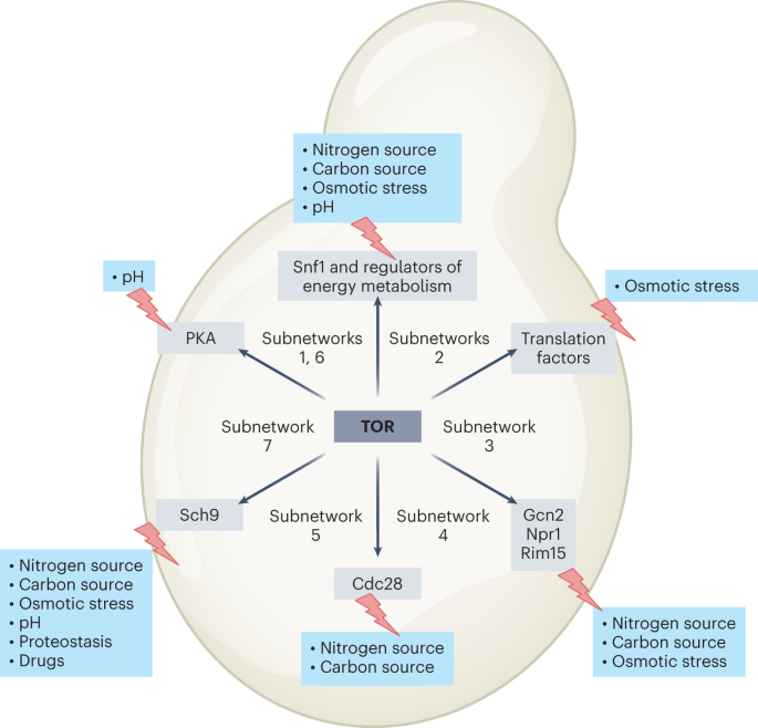 Surviving under stress conditions