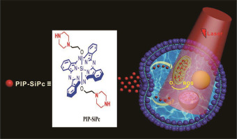 A piperazine-substituted phthalocyanine with rapid cellular uptake and dual organelle-targeting for in vitro photodynamic therapy
