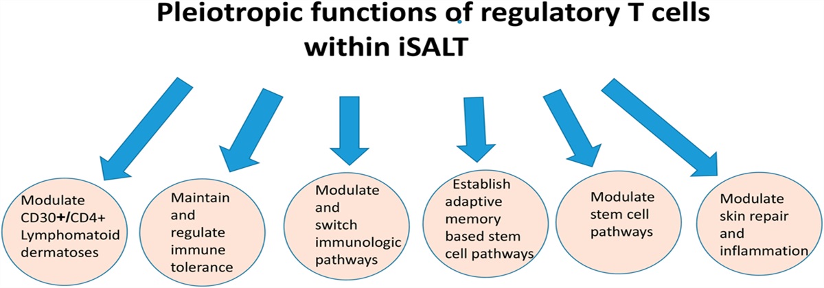 Critical Review—A Tribute to Louis Brocq Lymphomatoid Papulosis, the Key in Exploring the Relationship of Parapsoriasis and Mycosis Fungoides
