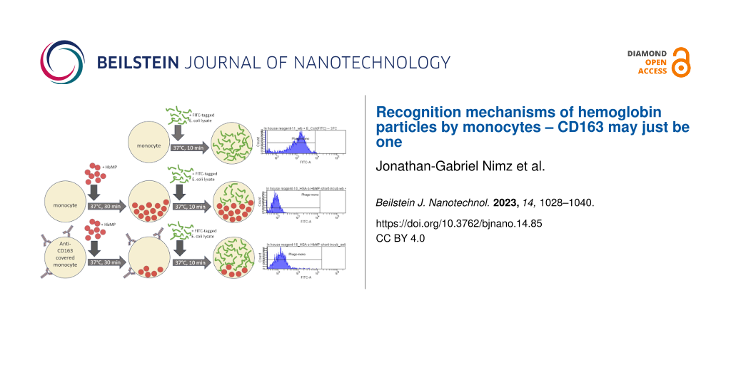 Recognition mechanisms of hemoglobin particles by monocytes – CD163 may just be one