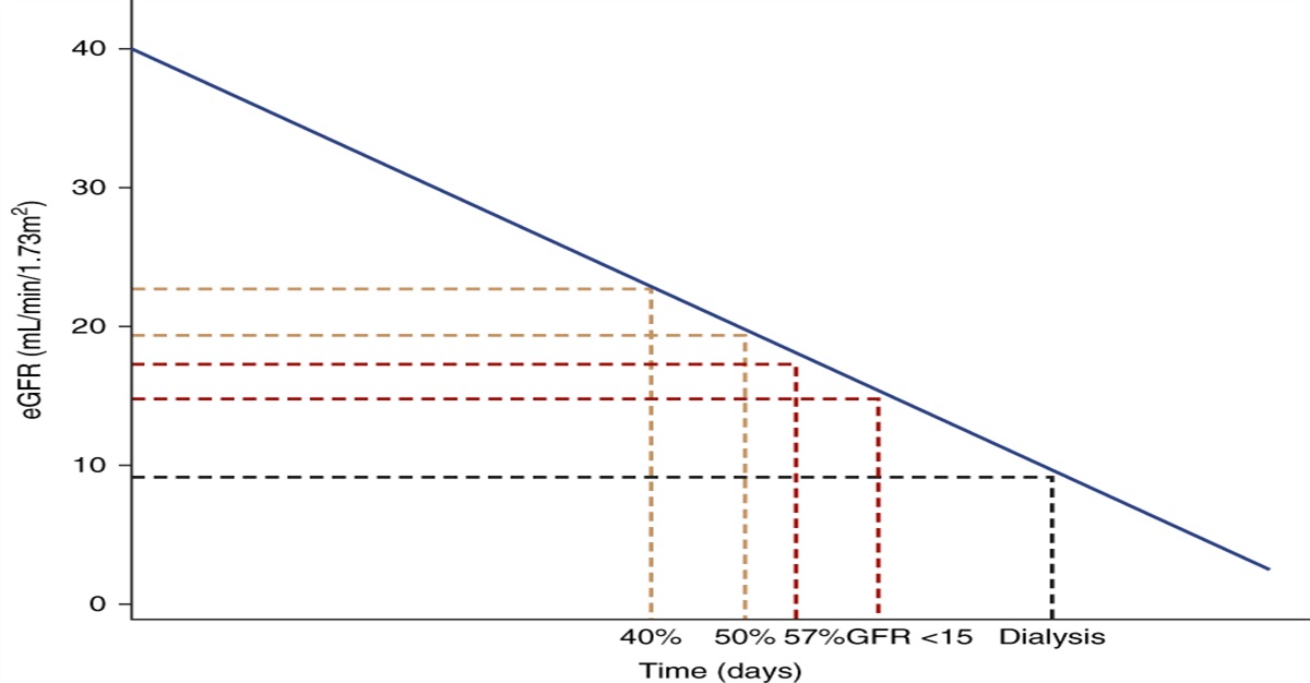 Validity and Utility of a Hierarchical Composite Endpoint for Clinical Trials of Kidney Disease Progression: A Review