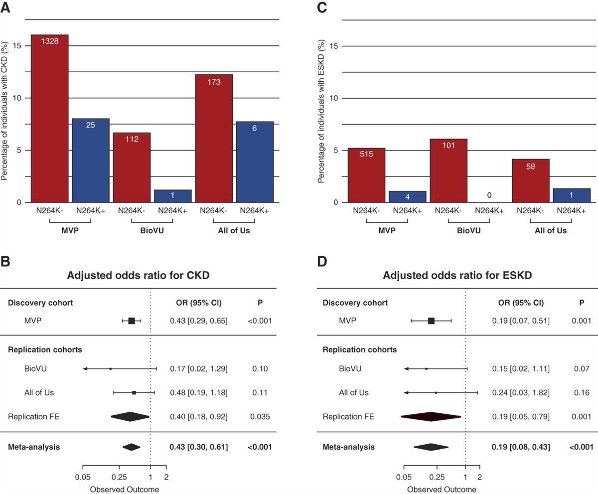 Genetic Inhibition of APOL1 Pore-Forming Function Prevents APOL1-Mediated Kidney Disease