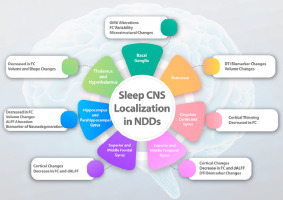 Sleep-related regions in neurodegenerative diseases by central nervous system localization using magnetic resonance imaging