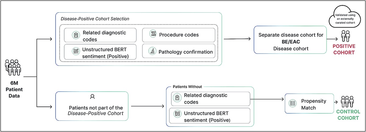Development of Electronic Health Record-Based Machine Learning Models to Predict Barrett's Esophagus and Esophageal Adenocarcinoma Risk