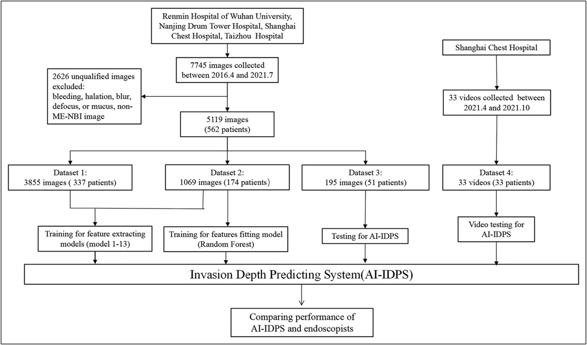 Human-Like Artificial Intelligent System for Predicting Invasion Depth of Esophageal Squamous Cell Carcinoma Using Magnifying Narrow-Band Imaging Endoscopy: A Retrospective Multicenter Study