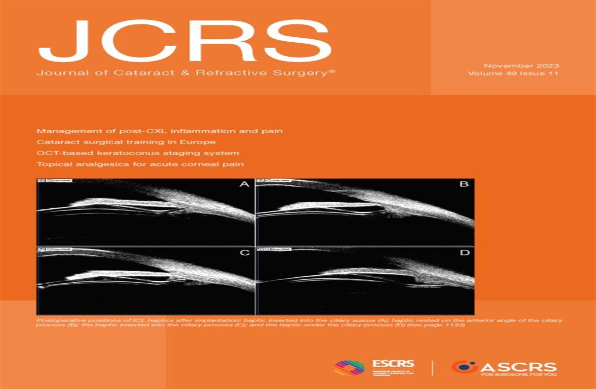 Comment on: Efficacy of segmented axial length and artificial intelligence approaches to intraocular lens power calculation in short eyes